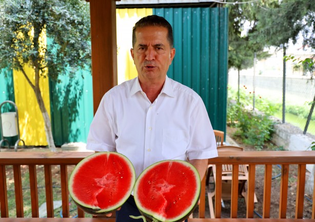 Adana'nın çekirdeksiz karpuzu Avrupa sofralarını süslüyor