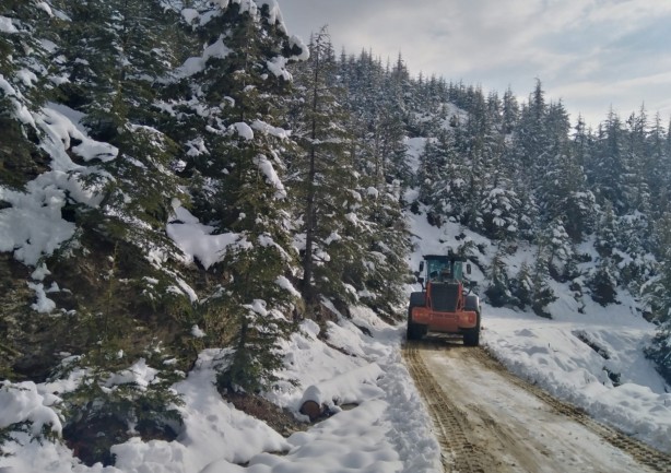 Adana'nın yüksek kesimlerinde kar etkili oluyor