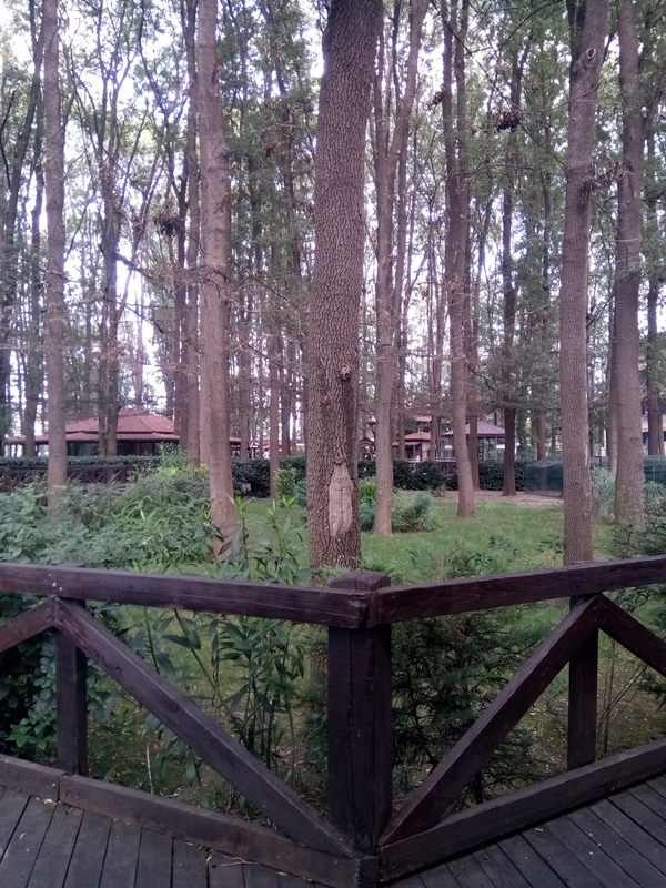 Foto - Adapazarı'nda mutlaka gidilmesi gereken yerler