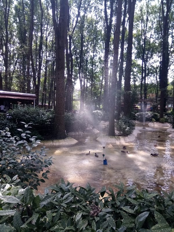Foto - Adapazarı'nda mutlaka gidilmesi gereken yerler