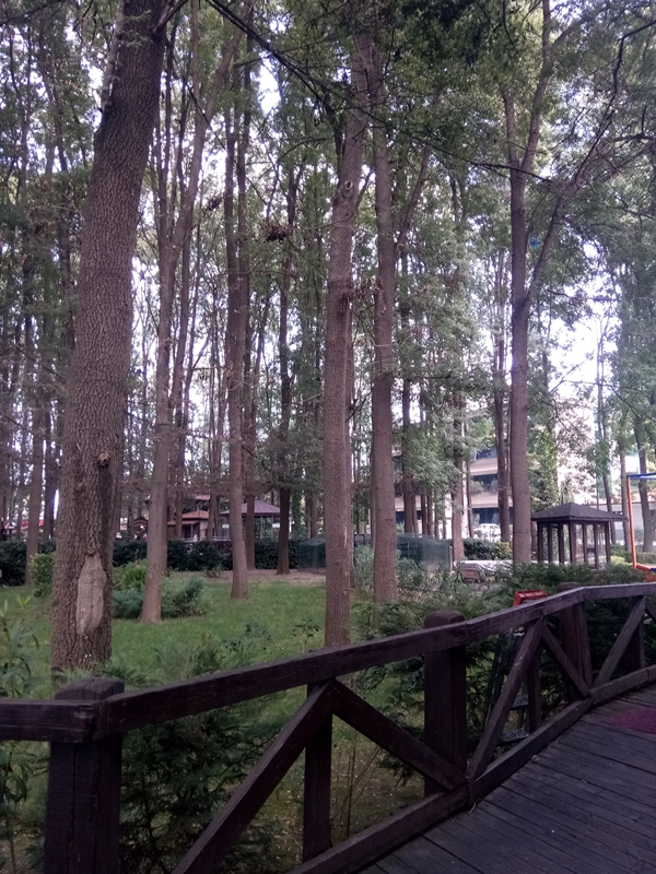 Foto - Adapazarı'nda mutlaka gidilmesi gereken yerler