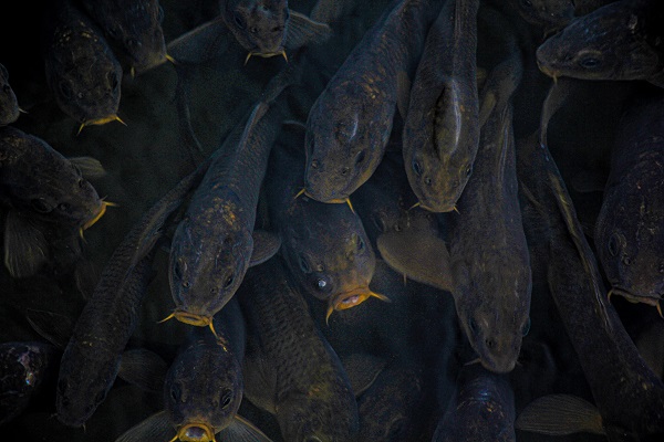 Foto - Adeta bir masal diyarı! Dünyanın diğer ucunda değil Türkiye'de