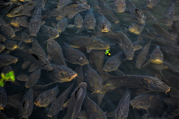 Foto - Adeta bir masal diyarı! Dünyanın diğer ucunda değil Türkiye'de