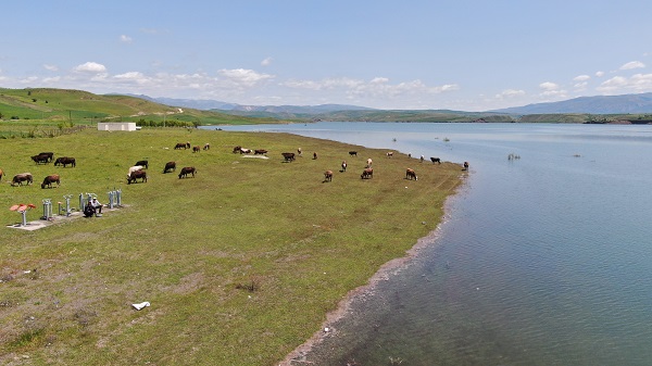 Foto - Adeta çöle dönmüştü! İşte, o barajın son hali