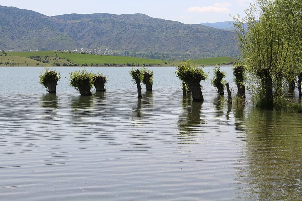 Foto - Adeta çöle dönmüştü! İşte, o barajın son hali