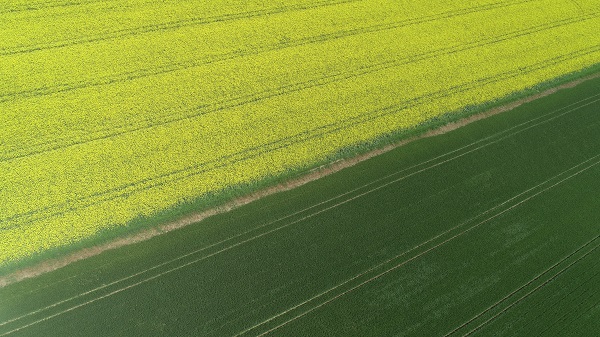 Foto - Adeta doğal stüdyo! Herkes fotoğraf çektirmek için buraya gidiyor