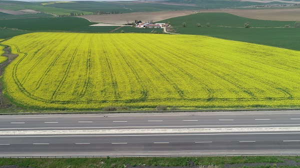 Foto - Adeta doğal stüdyo! Herkes fotoğraf çektirmek için buraya gidiyor