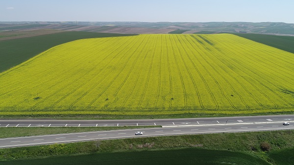 Foto - Adeta doğal stüdyo! Herkes fotoğraf çektirmek için buraya gidiyor