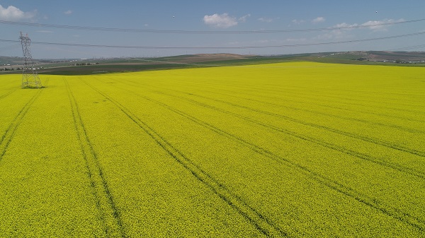 Foto - Adeta doğal stüdyo! Herkes fotoğraf çektirmek için buraya gidiyor