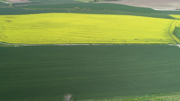 Foto - Adeta doğal stüdyo! Herkes fotoğraf çektirmek için buraya gidiyor
