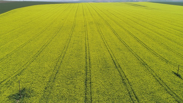 Foto - Adeta doğal stüdyo! Herkes fotoğraf çektirmek için buraya gidiyor