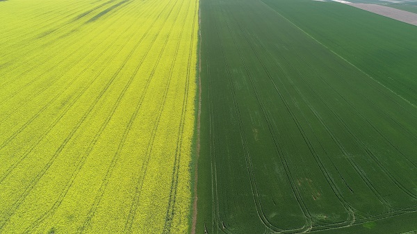 Adeta doğal stüdyo! Herkes fotoğraf çektirmek için buraya gidiyor