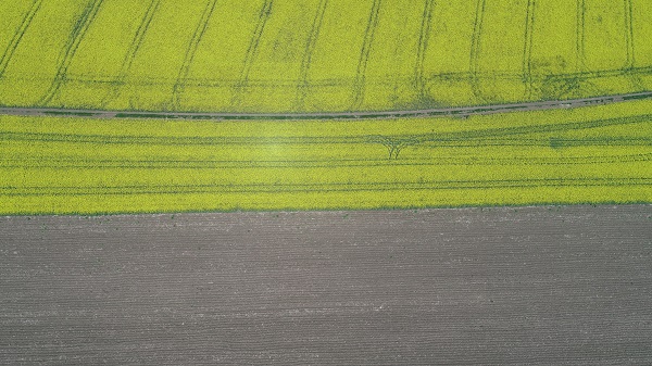 Foto - Adeta doğal stüdyo! Herkes fotoğraf çektirmek için buraya gidiyor