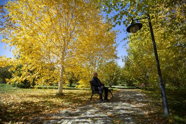 Foto - Adeta renk cümbüşü yaşandı! Sonbaharla gelen güzellik böyle görüntülendi
