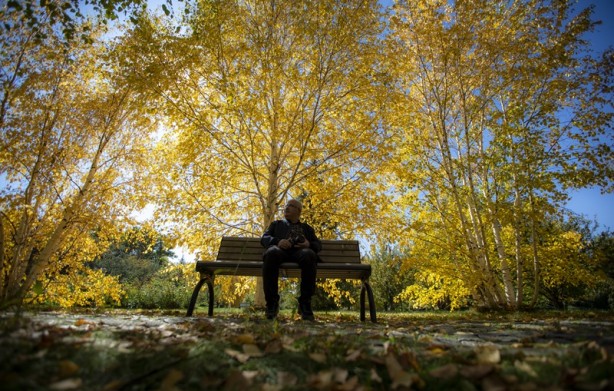 Adeta renk cümbüşü yaşandı! Sonbaharla gelen güzellik böyle görüntülendi