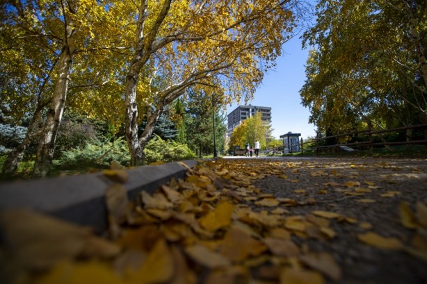 Foto - Adeta renk cümbüşü yaşandı! Sonbaharla gelen güzellik böyle görüntülendi