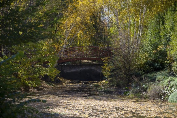 Foto - Adeta renk cümbüşü yaşandı! Sonbaharla gelen güzellik böyle görüntülendi