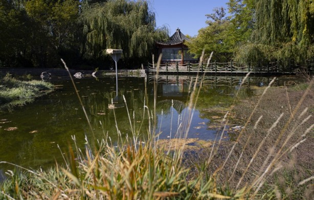 Foto - Adeta renk cümbüşü yaşandı! Sonbaharla gelen güzellik böyle görüntülendi