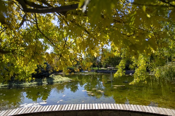 Foto - Adeta renk cümbüşü yaşandı! Sonbaharla gelen güzellik böyle görüntülendi