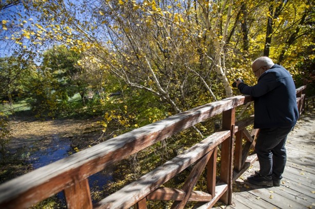 Foto - Adeta renk cümbüşü yaşandı! Sonbaharla gelen güzellik böyle görüntülendi