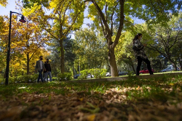 Foto - Adeta renk cümbüşü yaşandı! Sonbaharla gelen güzellik böyle görüntülendi