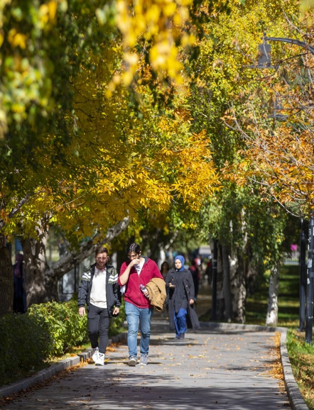 Foto - Adeta renk cümbüşü yaşandı! Sonbaharla gelen güzellik böyle görüntülendi
