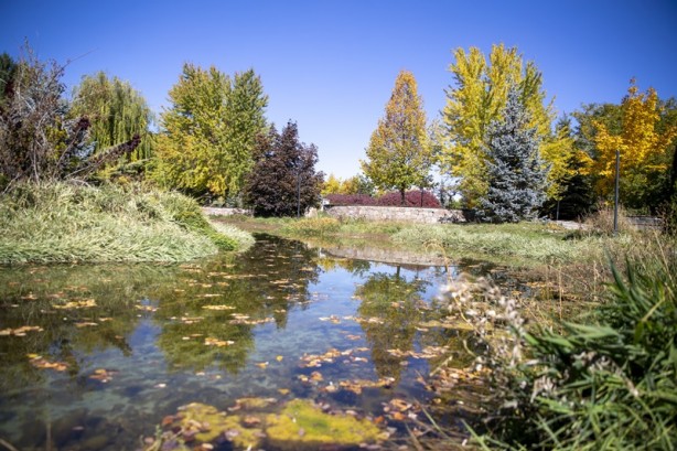 Foto - Adeta renk cümbüşü yaşandı! Sonbaharla gelen güzellik böyle görüntülendi