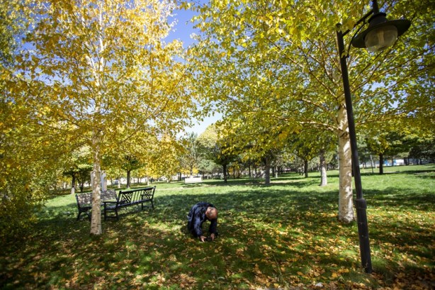 Foto - Adeta renk cümbüşü yaşandı! Sonbaharla gelen güzellik böyle görüntülendi