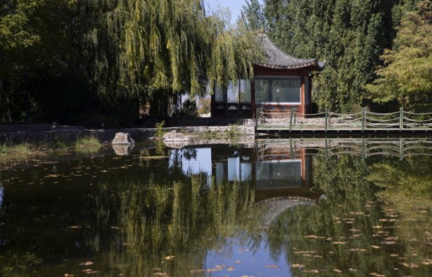 Foto - Adeta renk cümbüşü yaşandı! Sonbaharla gelen güzellik böyle görüntülendi