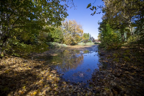 Foto - Adeta renk cümbüşü yaşandı! Sonbaharla gelen güzellik böyle görüntülendi