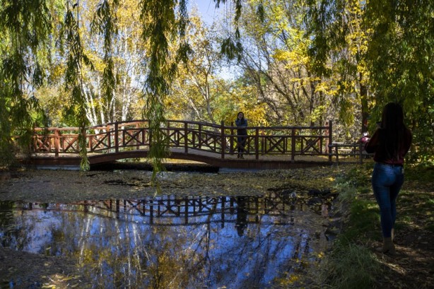 Foto - Adeta renk cümbüşü yaşandı! Sonbaharla gelen güzellik böyle görüntülendi