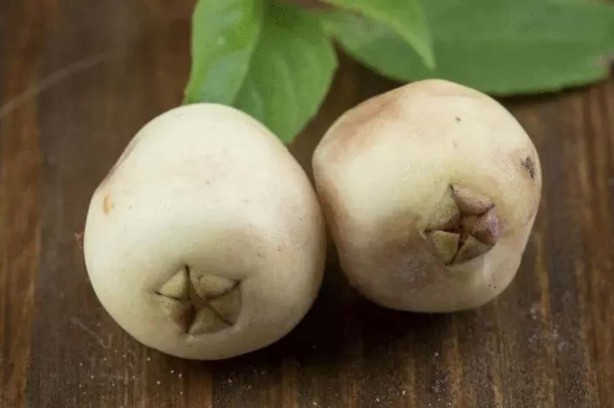 Foto - Adeta şifa deposu! Nelere iyi gelmiyor ki! Bu meyveyi herkesin bir an önce keşfetmesi gerekiyor! Damarlarda kolesterolden eser bırakmıyor!