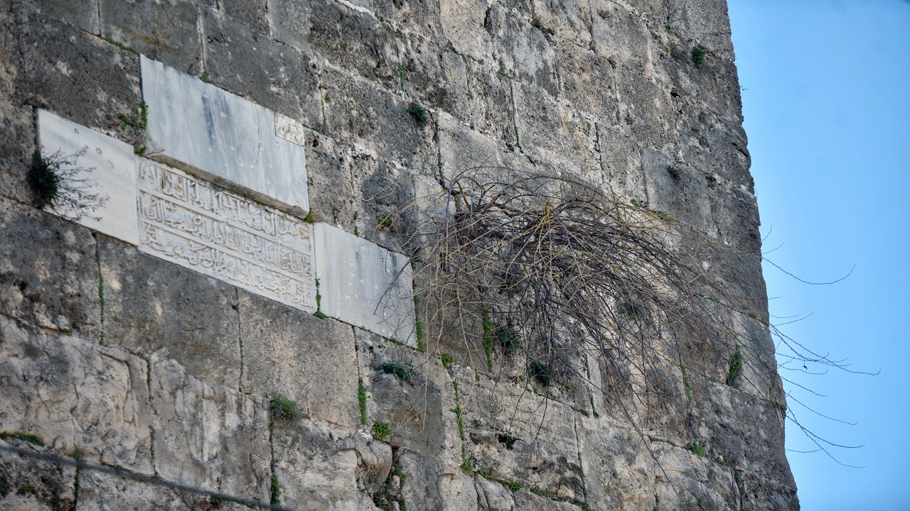 Foto - Adeta yeşerdiler! Tarihi surlar bakımsızlıktan bu hale geldi