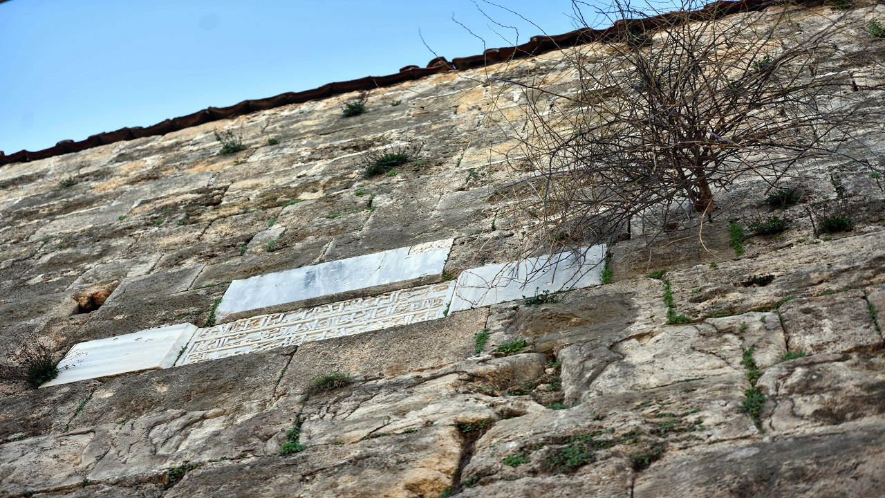 Foto - Adeta yeşerdiler! Tarihi surlar bakımsızlıktan bu hale geldi