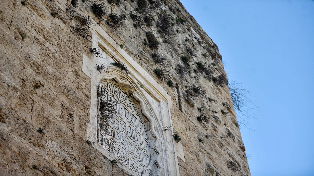 Foto - Adeta yeşerdiler! Tarihi surlar bakımsızlıktan bu hale geldi