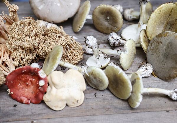 Foto - Adeta zehir özelliği taşıyor! Bu besinleri sakın pişirmeden yemeyin