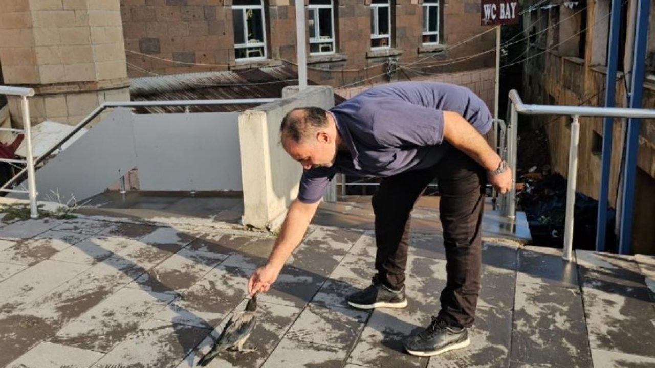 Foto - Adilcevaz’da görenleri gülümseten dostluk: Kasap ile karga ayrılmaz ikili oldu