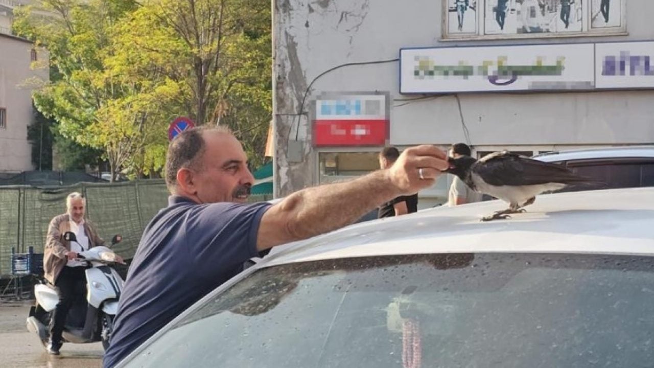 Foto - Adilcevaz’da görenleri gülümseten dostluk: Kasap ile karga ayrılmaz ikili oldu