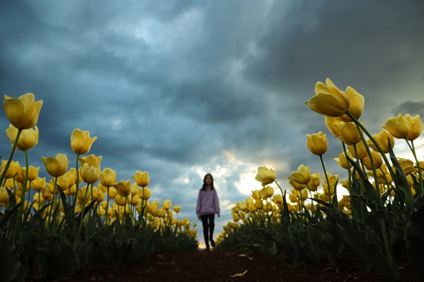 Foto - Adım adım başvuru rehberi... Müthiş ziyaretçi trafiği yaşanıyor... Uzmanından merak uyandıran açıklamalar