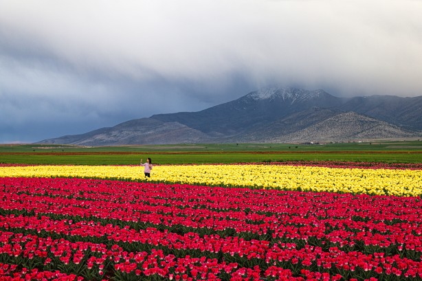 Foto - Adım adım başvuru rehberi... Müthiş ziyaretçi trafiği yaşanıyor... Uzmanından merak uyandıran açıklamalar
