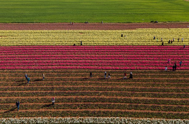 Foto - Adım adım başvuru rehberi... Müthiş ziyaretçi trafiği yaşanıyor... Uzmanından merak uyandıran açıklamalar