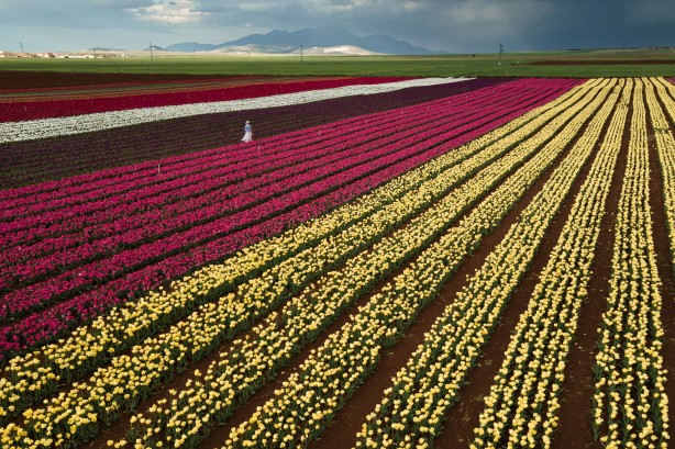 Foto - Adım adım başvuru rehberi... Müthiş ziyaretçi trafiği yaşanıyor... Uzmanından merak uyandıran açıklamalar