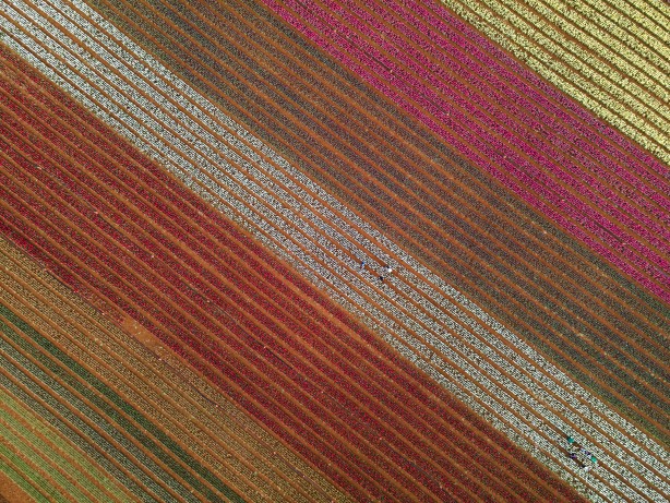 Foto - Adım adım başvuru rehberi... Müthiş ziyaretçi trafiği yaşanıyor... Uzmanından merak uyandıran açıklamalar