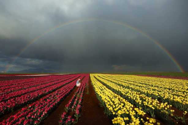 Adım adım başvuru rehberi... Müthiş ziyaretçi trafiği yaşanıyor... Uzmanından merak uyandıran açıklamalar