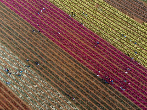 Foto - Adım adım başvuru rehberi... Müthiş ziyaretçi trafiği yaşanıyor... Uzmanından merak uyandıran açıklamalar