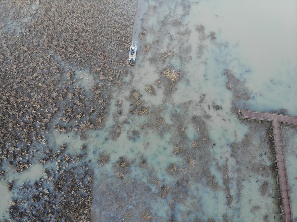 Foto - Adını Bizans prensesinden aldı! İşte o gölün son hali