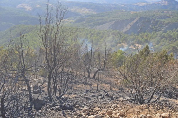 Foto - Adıyaman'da korkutan yangın! Müdahale ediliyor