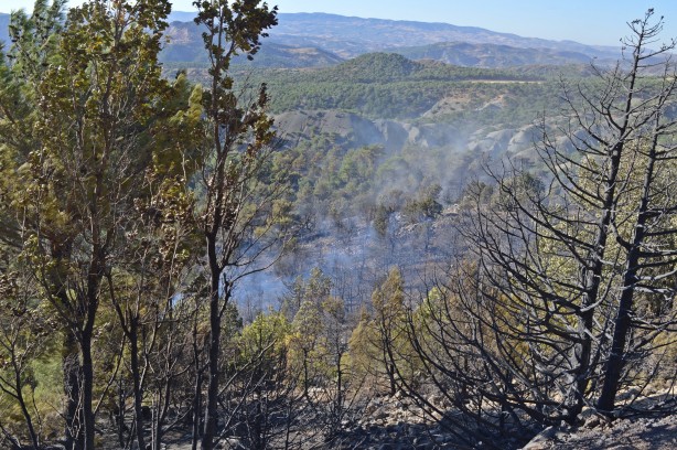 Foto - Adıyaman'da korkutan yangın! Müdahale ediliyor