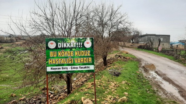 Adıyaman'da kuduz paniği! 3 köy karantinaya alındı