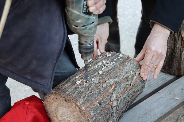 Foto - Adıyamanlı çiftçiden ilginç fikir! Bakın mantarı nasıl yetiştirecek